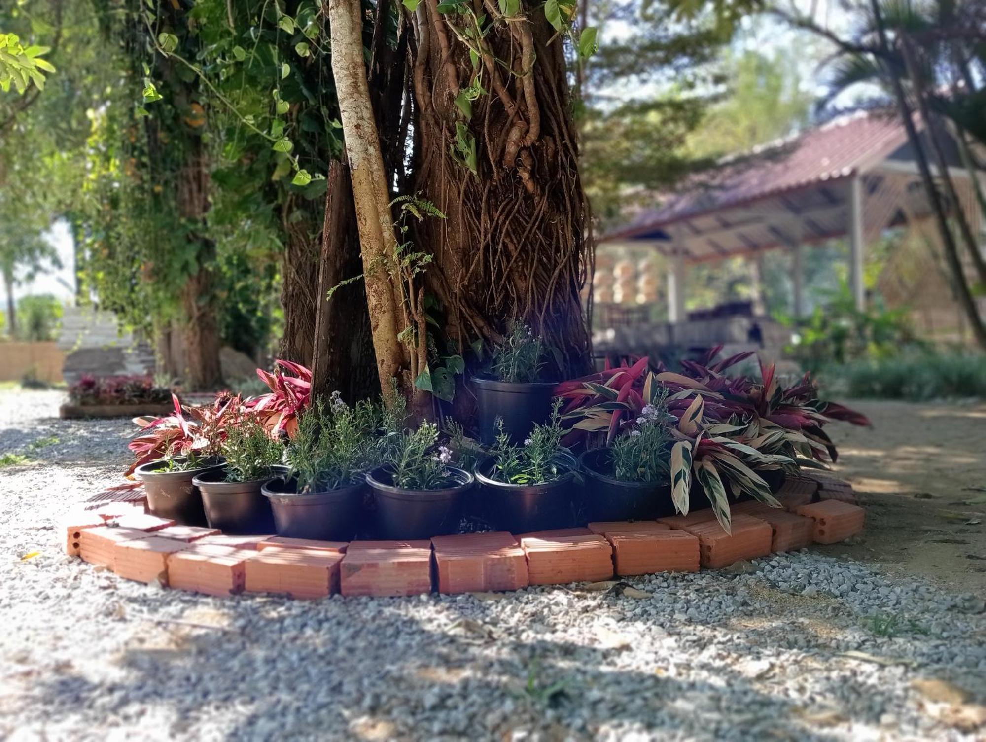 Vangvieng Ruby'Homestay Vang Vieng Bagian luar foto