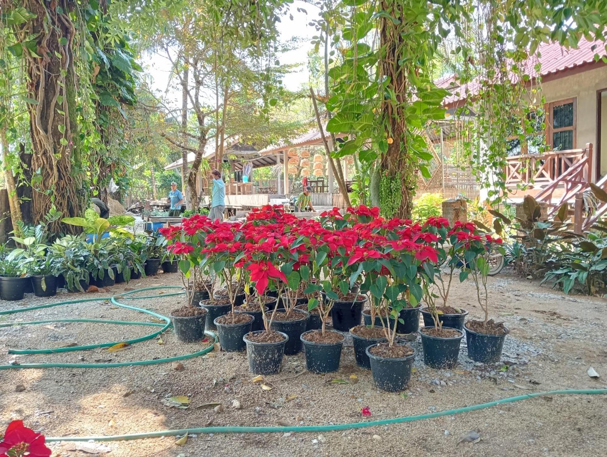 Vangvieng Ruby'Homestay Vang Vieng Bagian luar foto